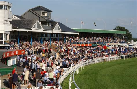 catterick races